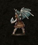 Custom Miniature